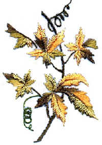 Virginia Creeper Brazilian Embroidery Patterm